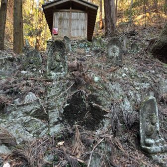 両脇にはたくさんの仏様がいらっしゃいます✨年代は、享保、江戸時代です。
