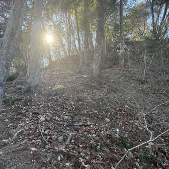 山頂直下の伝わらないちょっとした急登

心折れそうな急登でも
一歩でも半歩でも前に進んでいけば
いつかちゃんと山頂に辿り着くのです山も人生も🙂半半歩の日々でいつになることやらだけど
最後の景色が絶景とまでは言わなくても
できる限り納得できるものでありますように