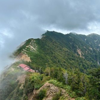 良いアングルで、爺ヶ岳三峰が一瞬お出ましに
下山で登り返しが待っています😰