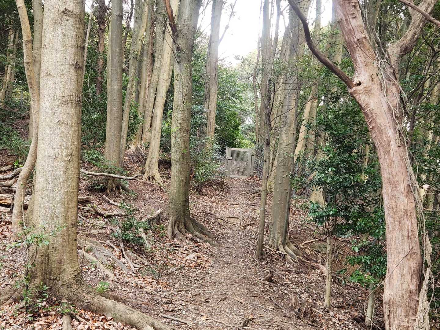 山の玄関？
戻ってきました。終了～！