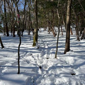 南コブ近くはいい感じに積雪