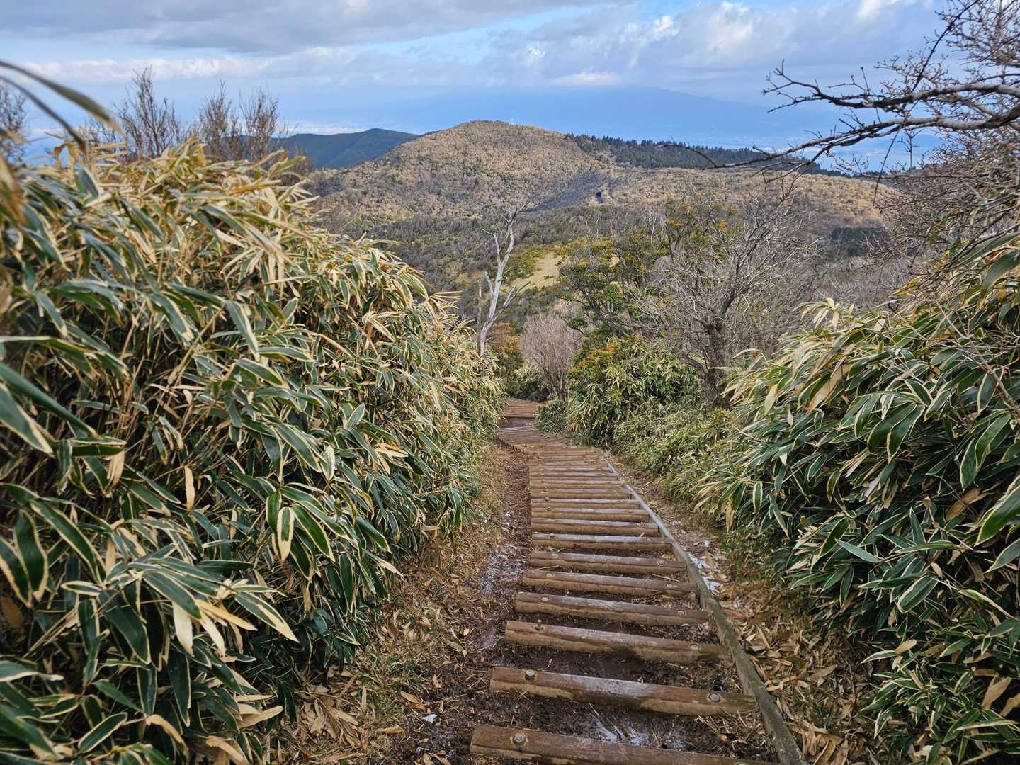 子達磨山へ