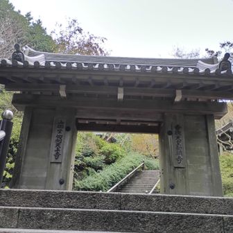 山門にゃ