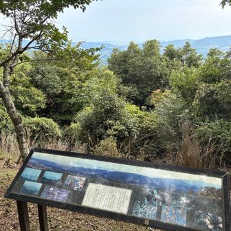 山頂にもマムシはいるらしいですよ