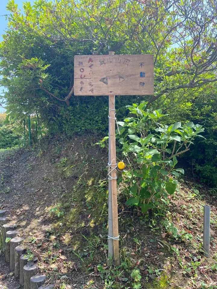 武山の写真