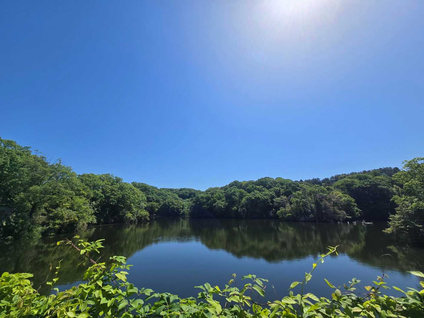 快晴☀️.°ただの溜池もいい感じ♥️