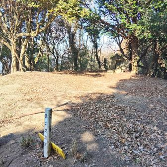 ここも城跡なのか広い山頂
しかし､今のところ全く展望が無い😭