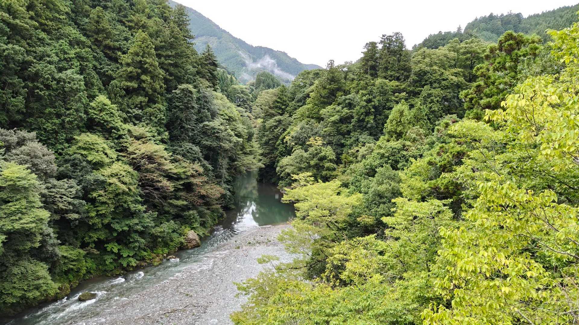 先週下りで不甲斐なかったので、初心に帰って、今日はひたすら歩きます。厳しめの縦走路ってことで奥多摩にしました！私基準ですので他の方には普通の道なのかもしれないけど💦