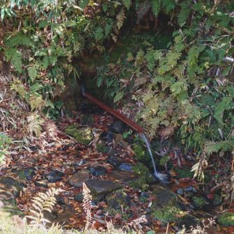 金明水の名の通り水量はバッチリ