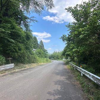 ダラダラ歩く。標高が下がってくると暑い🥵