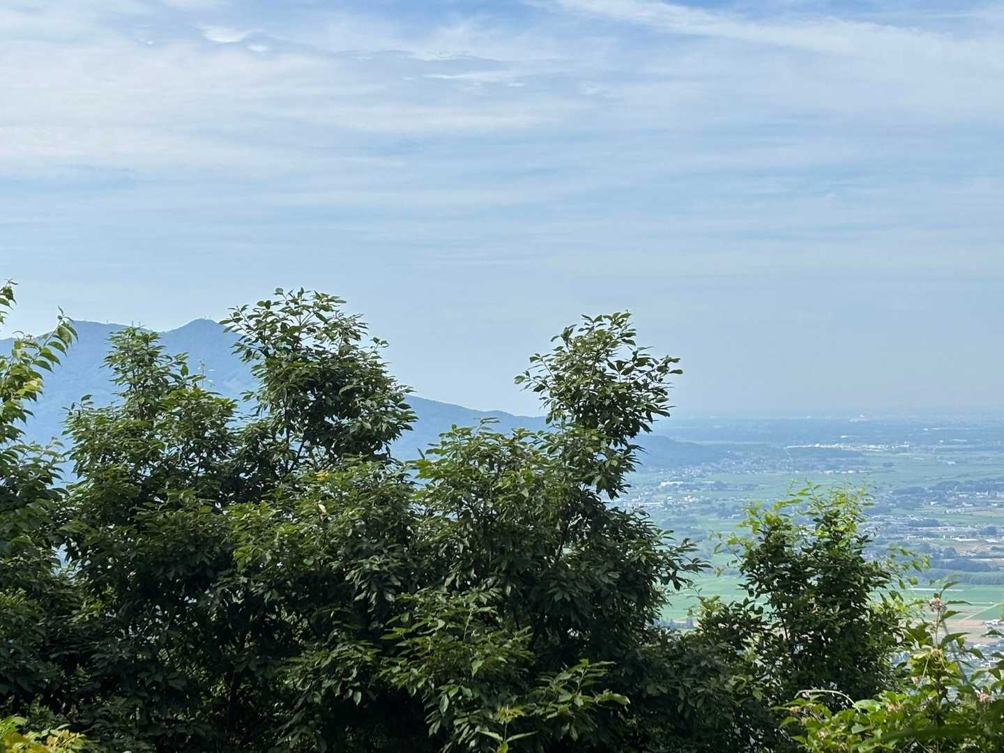 山頂からは筑波山（だよね？木が邪魔で見づらいけど）