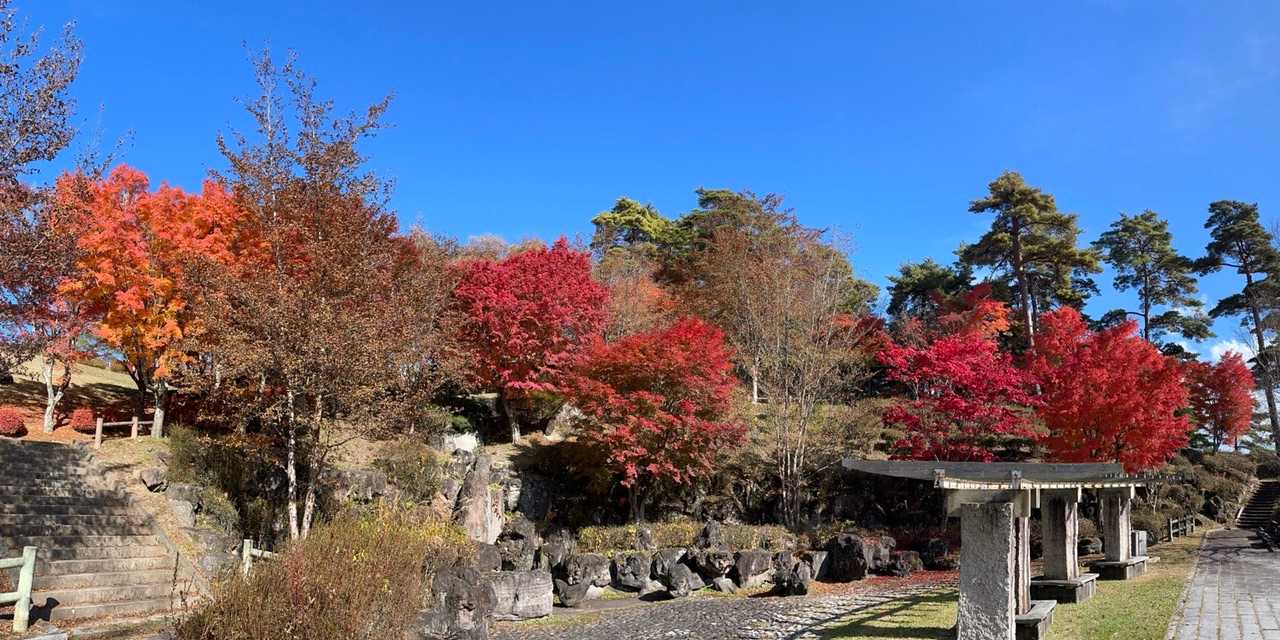 永明寺山 往復コースの写真