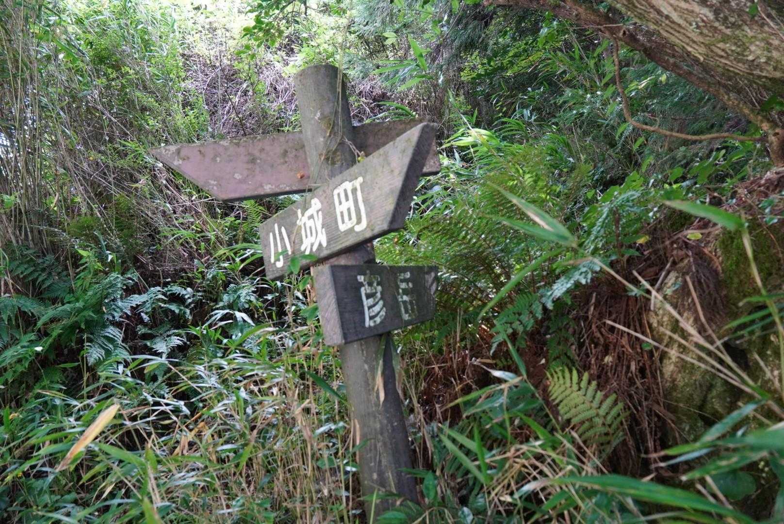 登山口は
こんな感じです。