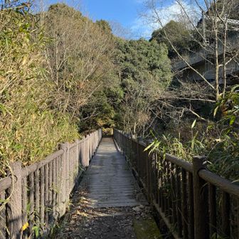 橋がビョンビョン揺れてちょっと怖かった
