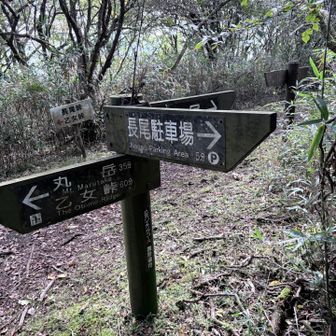 細い登山道を抜けると整備された道標にでます