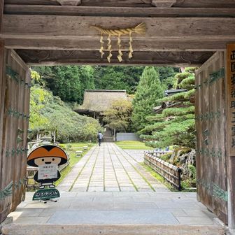 　　　　　　　　　
　　　　　　　　　金剛三昧院

　　　今日も楽しく歩くことができました🙏
