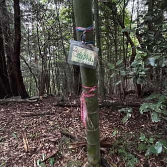 そしてまた寄り道して8座目番神山
ここも眺望なし