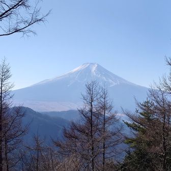 山頂からの富士山