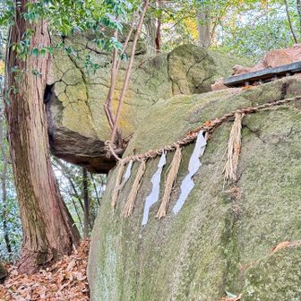 木にめり込んでます。