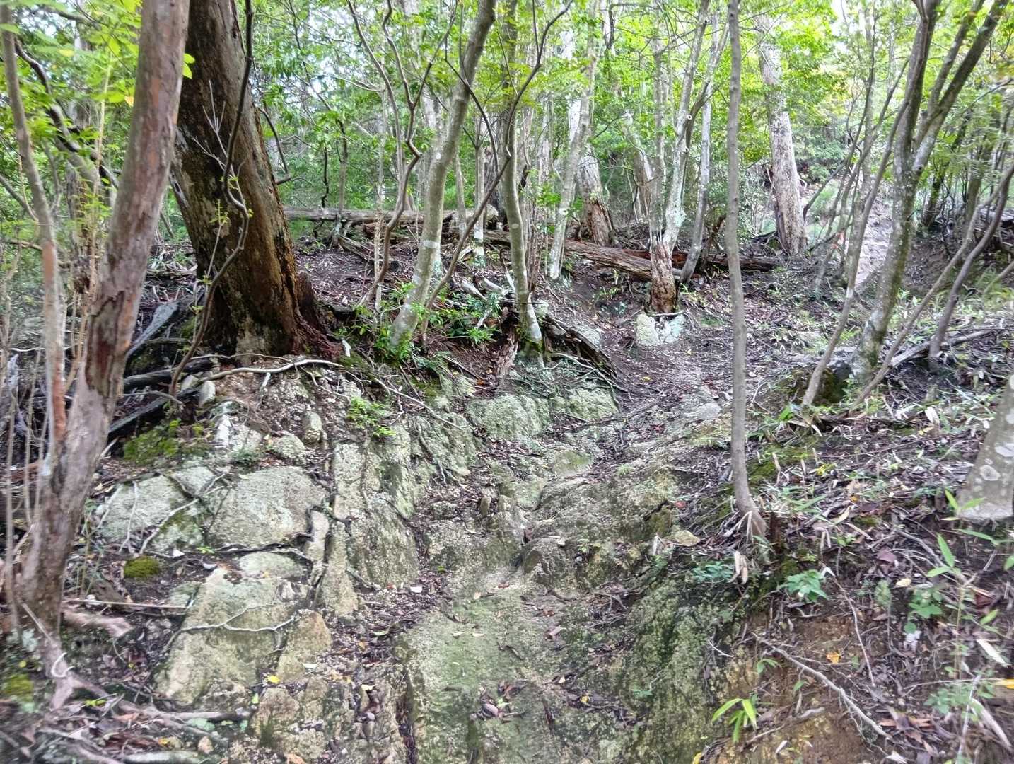 三角山 往復コースの写真
