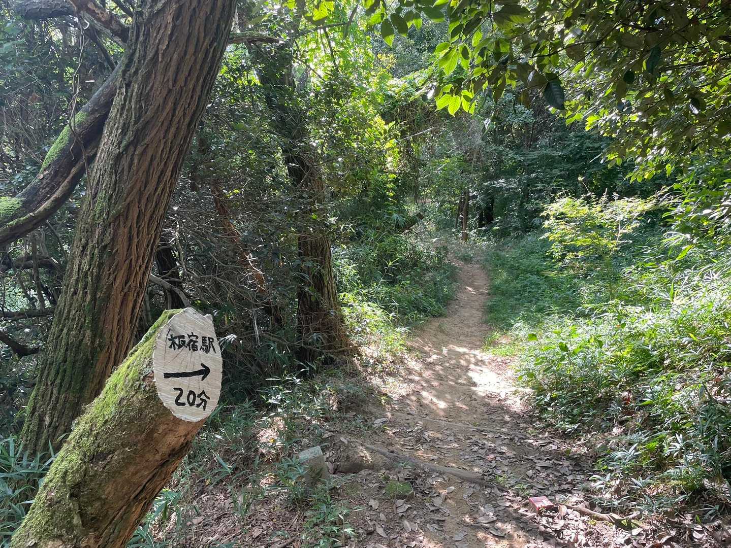 東山 往復コースの写真