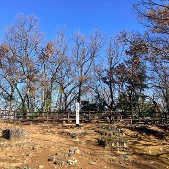 万日山⛰️山頂到着👍😉✨… 誰も居ない😅　鳥🐦‍⬛の鳴き声は聴こえるが　降りて来ない😅