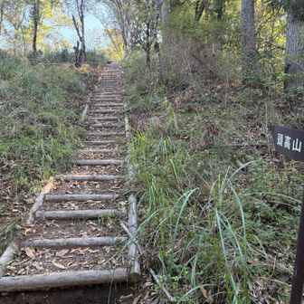 頭高山へのラストステップ