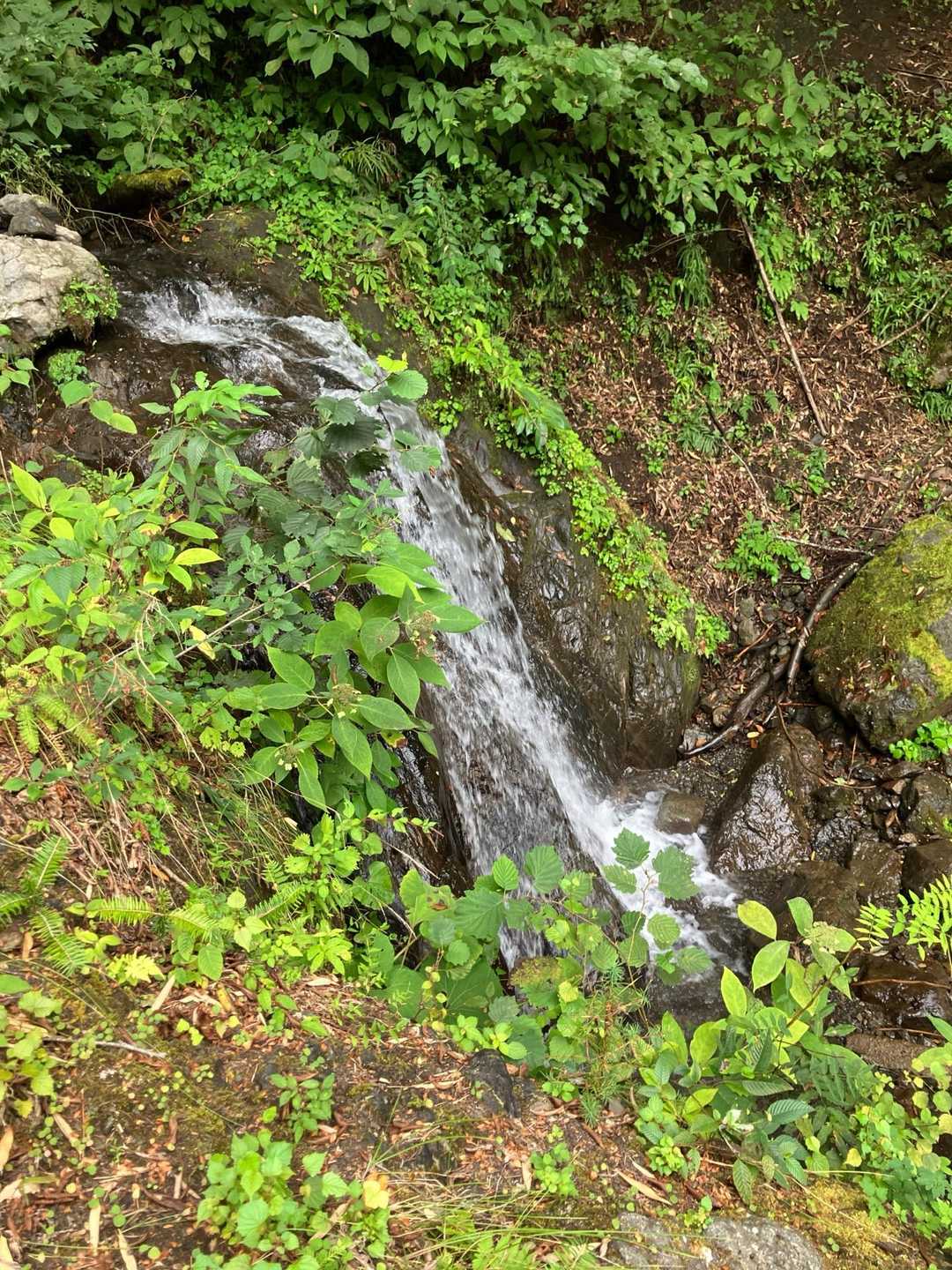 【大柳川渓谷】個性豊かな5つの滝をめざして吊橋をめぐる山歩道の写真