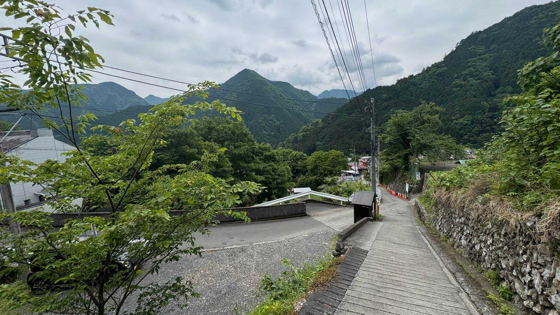奥多摩駅-本仁田山-瘤高山-大根ノ山ノ神-鳩ノ巣駅 縦走コースの写真