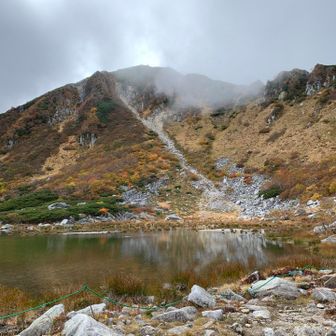 濃ヶ池に降りてきた
