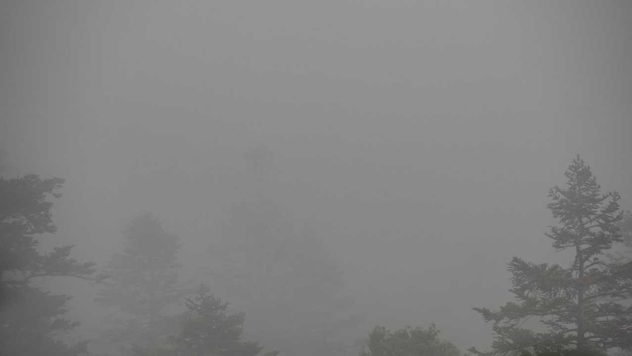 八甲田山（大岳・井戸岳・赤倉岳）／青森遠征Day2 の写真 8