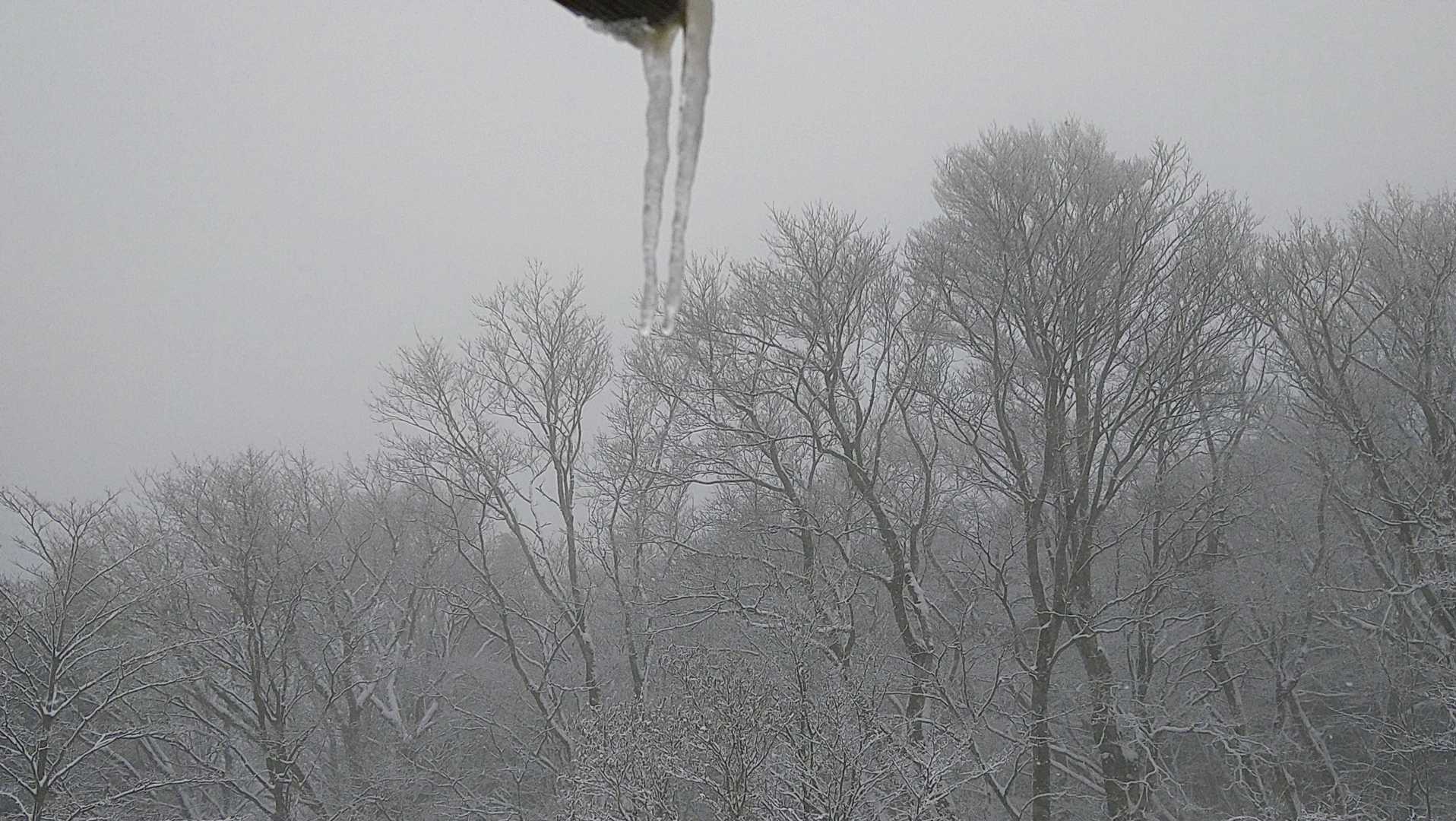 山頂は積雪15㌢位わーい(^o^)