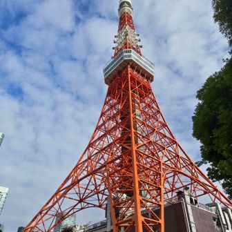 ピーク良く分からなかったけど東京タワー見学します😎
