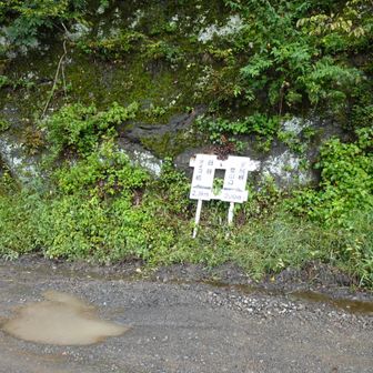 東尾根コースは右へ