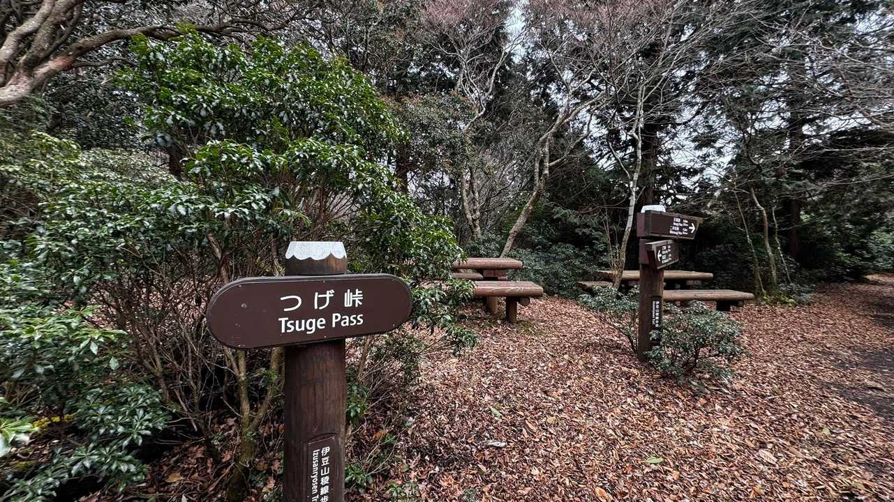 伊豆山陵線トレイル（三蓋山・水呑頭・猫越岳・後藤山・魂の山・棚場山・伽藍山・古稀山・達磨山・小達磨山） の写真 22