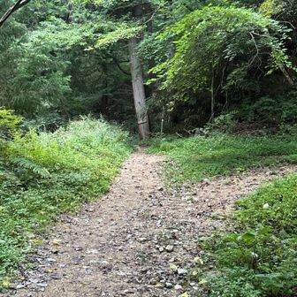 もみじ谷の取り付き
左に行きます