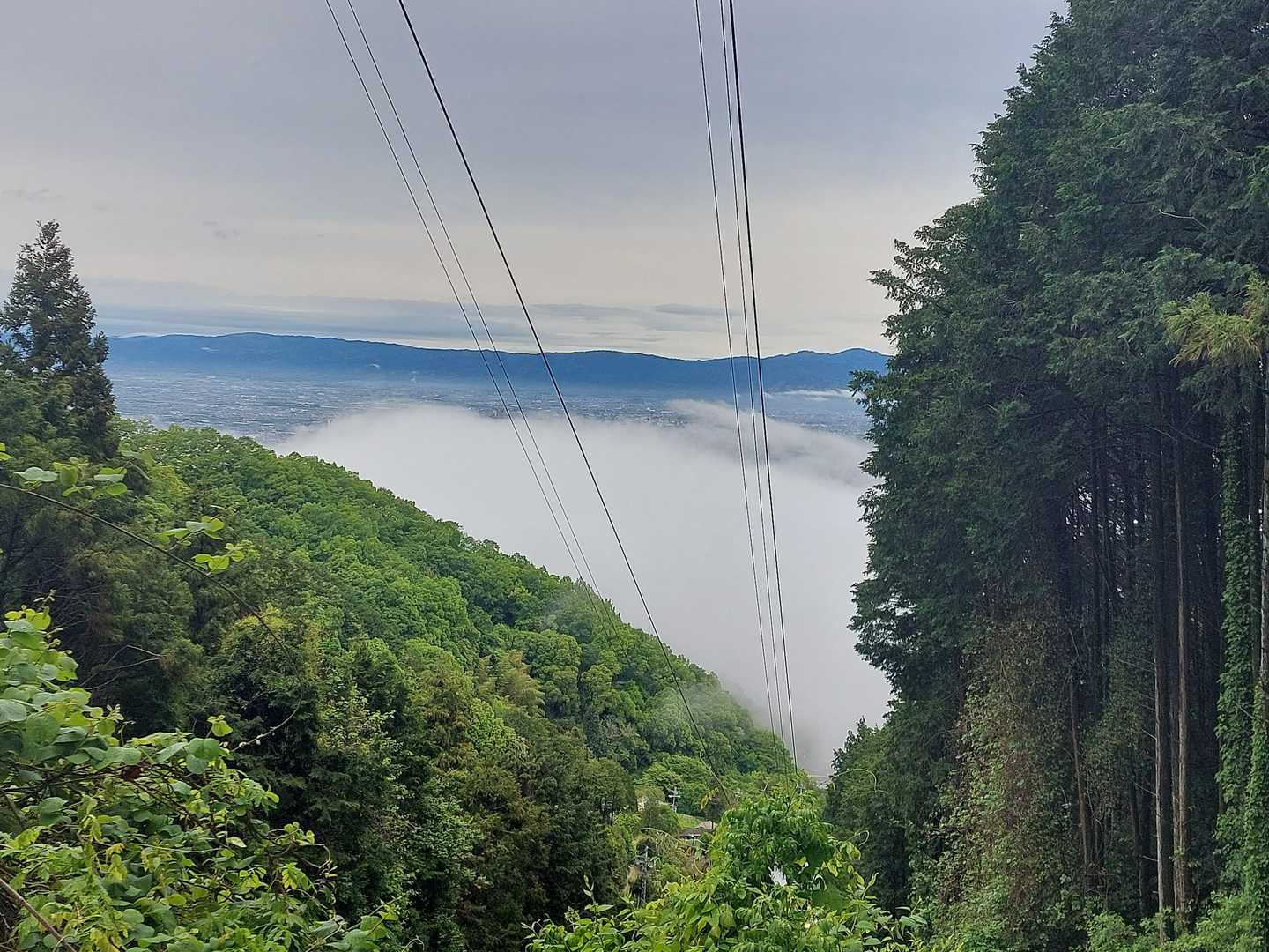 山麓駅は雲海の中☁