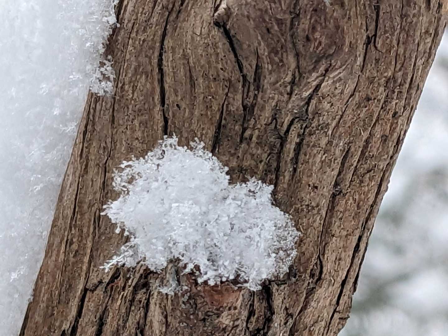 雪の結晶、撮りたいなぁ