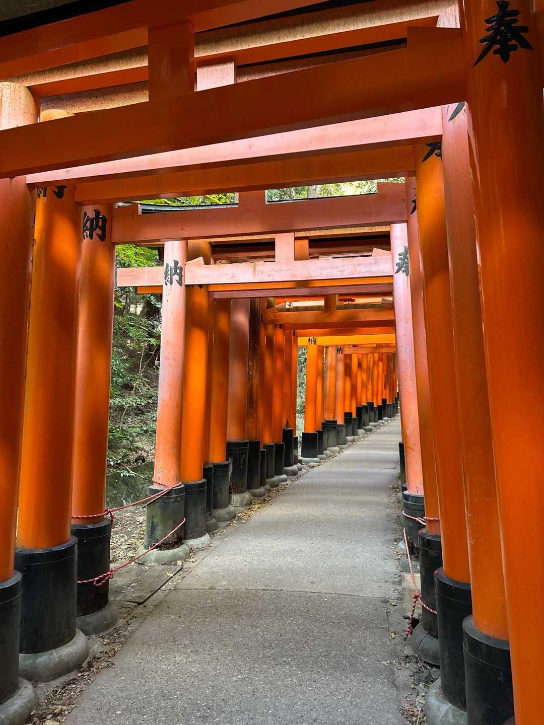 千本鳥居⛩️  大混雑の隙を見て