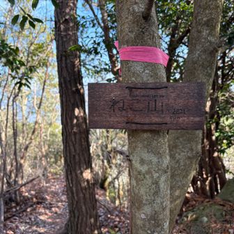 ねこ山左耳
今日はここまで
さぁ帰ろう