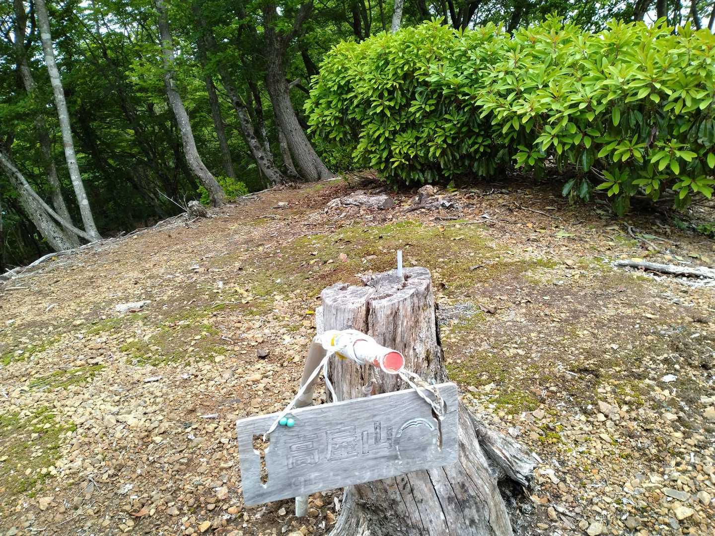 高屋山登頂🙌
ここまで延々の登りです😂
