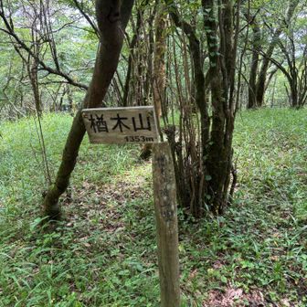 楢木山