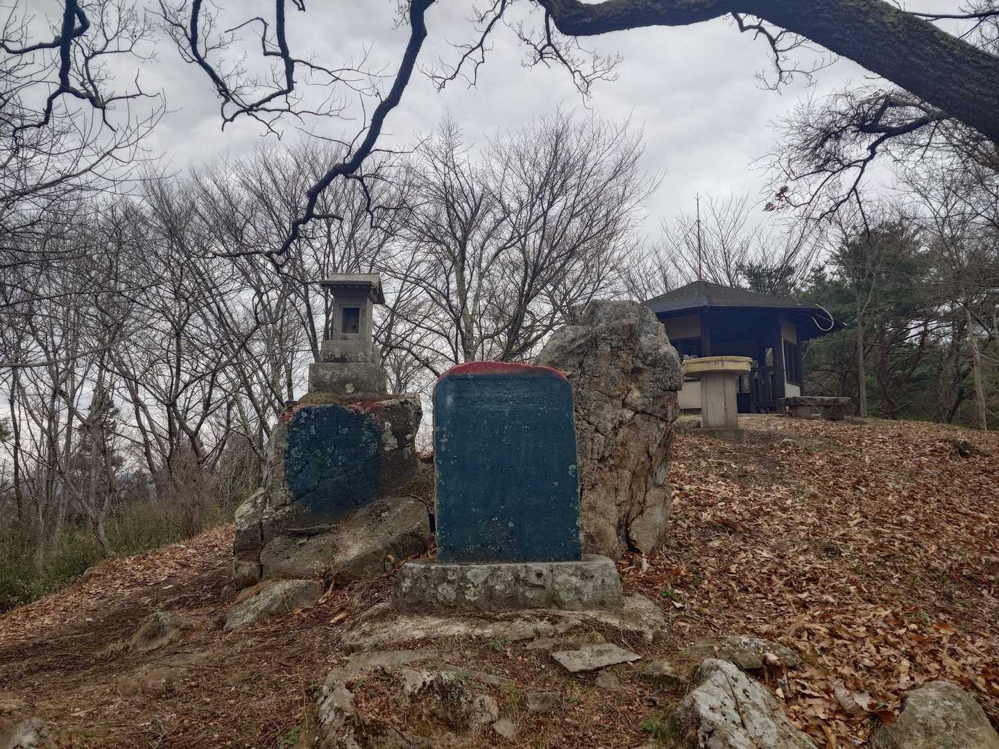 西音森山
来にくくなった