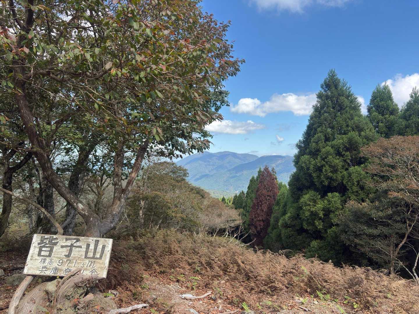 ついに！来たよ！嬉しい☺️