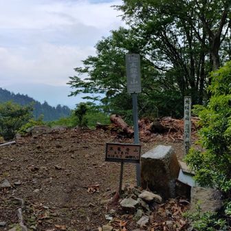 太龍寺山頂上到着ですここまでひたすら植林帯を登ります