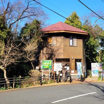 冬になると来たくなる野鳥の森センター