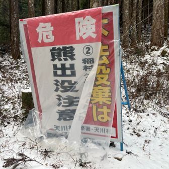🐻熊の出没が増えているみたいです