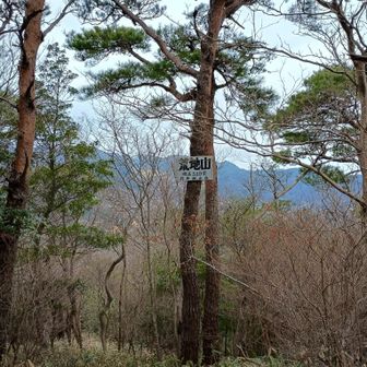 荒地山に到着。なんもないけど、道中が最高やなー