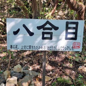 八合目。レディースのうっぷんも山で。