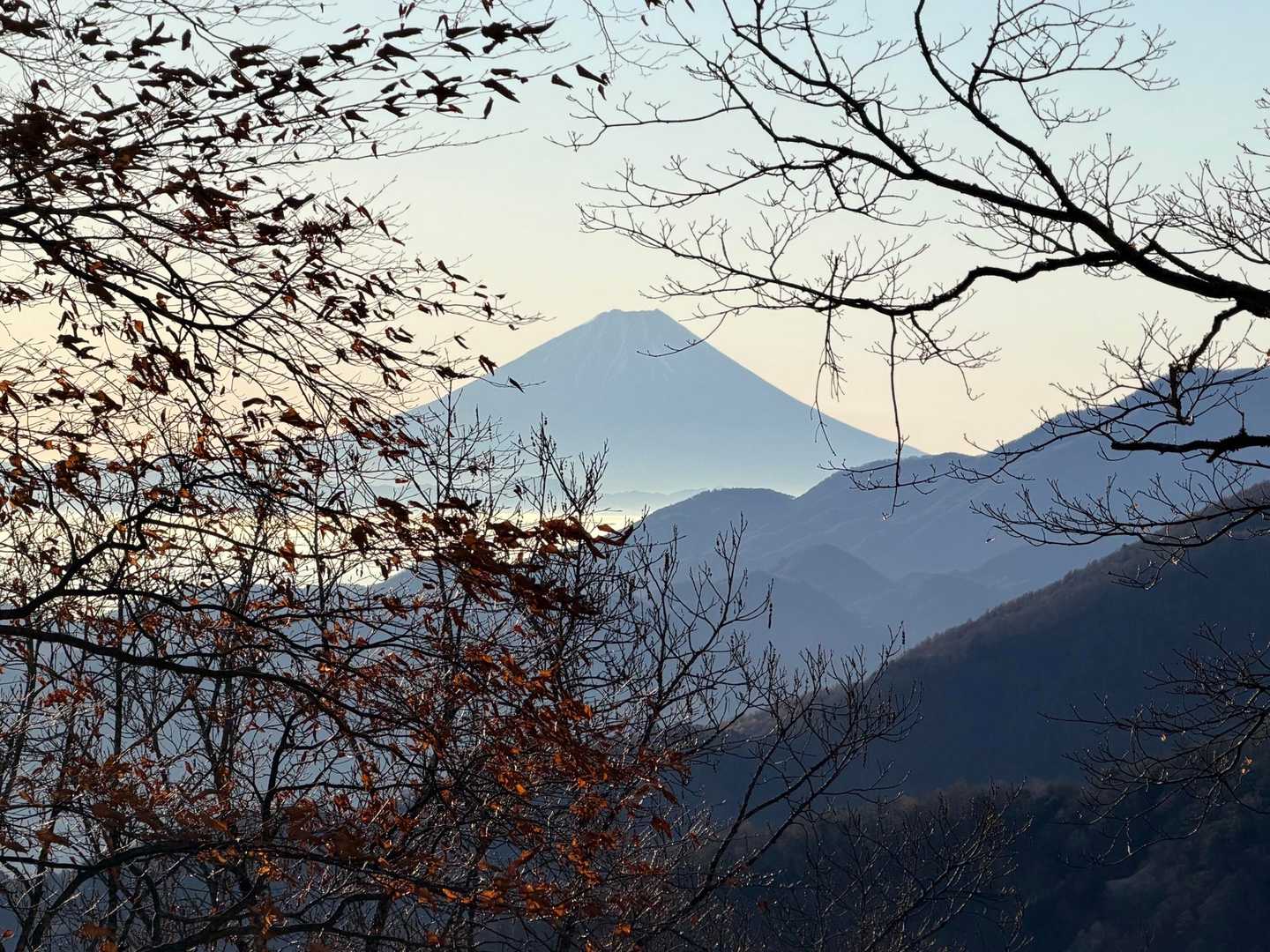 良きです